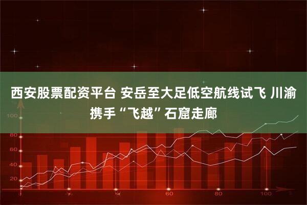 西安股票配资平台 安岳至大足低空航线试飞 川渝携手“飞越”石窟走廊