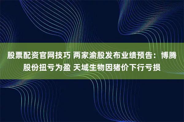 股票配资官网技巧 两家渝股发布业绩预告：博腾股份扭亏为盈 天域生物因猪价下行亏损